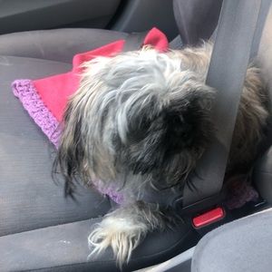 Meet your Posher, Jane